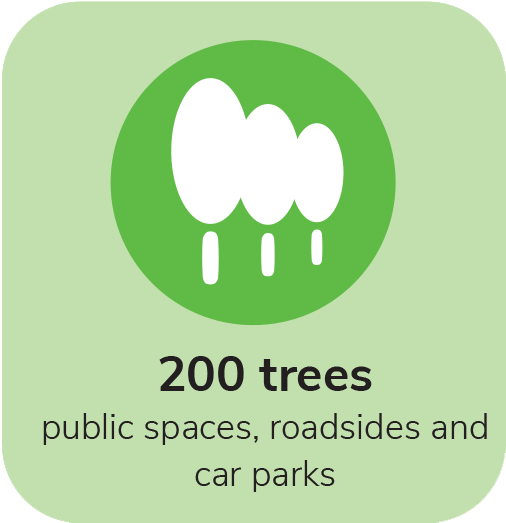 200 trees in public spaces, roadsides, and car parks